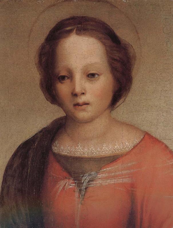 Mary in detail, Andrea del Sarto
